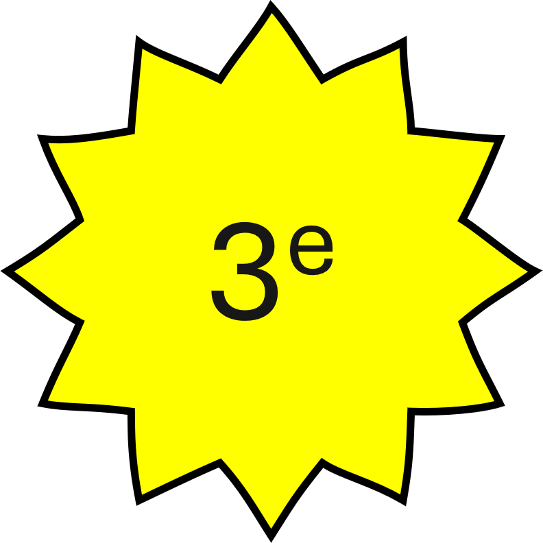 Badge 3e année
